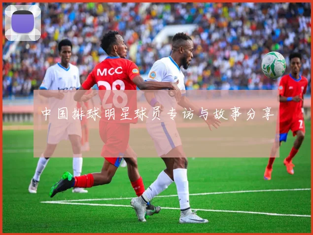 中国排球明星球员专访与故事分享