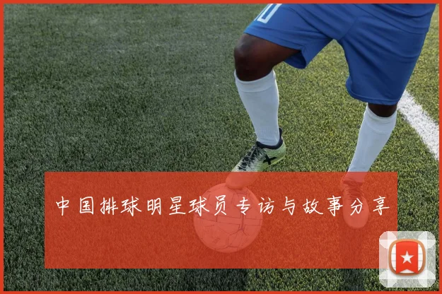 中国排球明星球员专访与故事分享